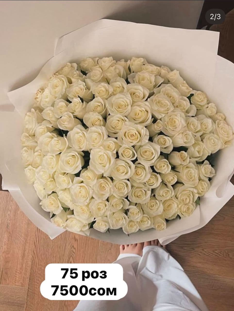 75 роз 60см - изображение 1